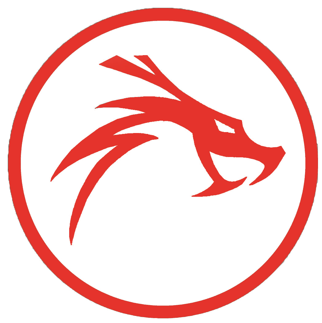 21st Century Dragon