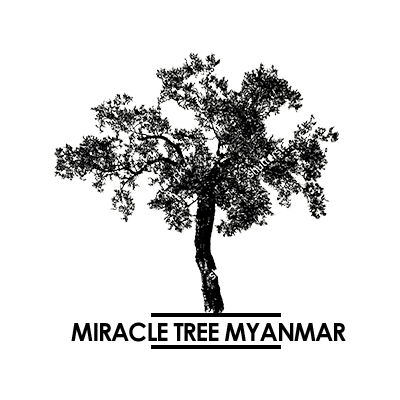 Maricle Tree Myanmar