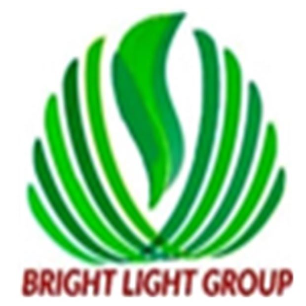 BRIGHT LIGHT GROUP COMPANY LIMITED
