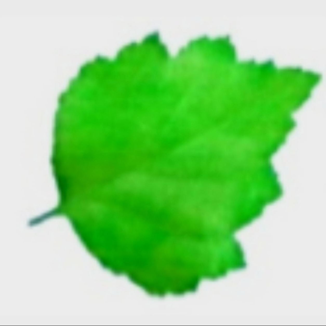 Hawthorn Engineering & Services Co.,ltd