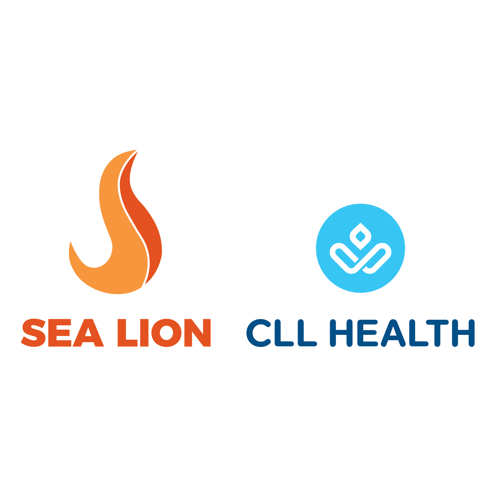 Sea Lion CLL Holdings