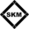 SKM Steel Holdings Company Limited