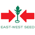 East-West Seed Myanmar