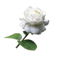 Tint Sabei Trading Co.,Ltd