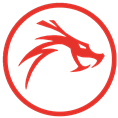 21st Century Dragon