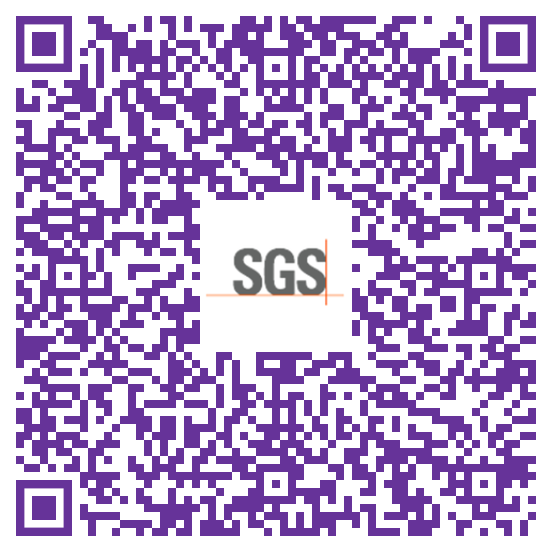 SGS (Myanmar) Limited Jobs in Myanmar